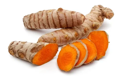 Curcuma